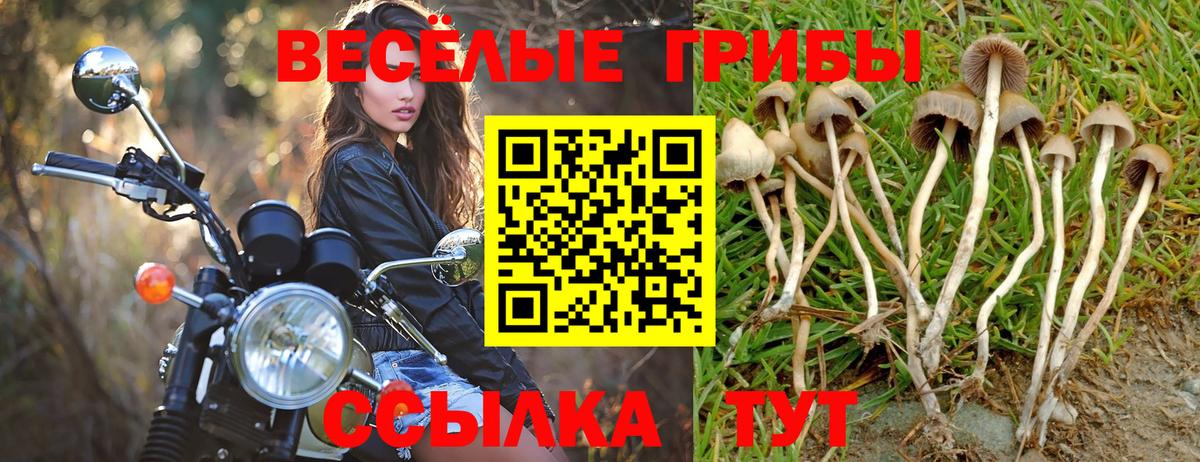 Галлюциногенные грибы Magic Shrooms Майский