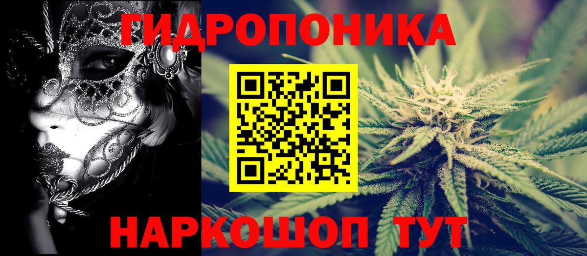 Канабис сатива Майский